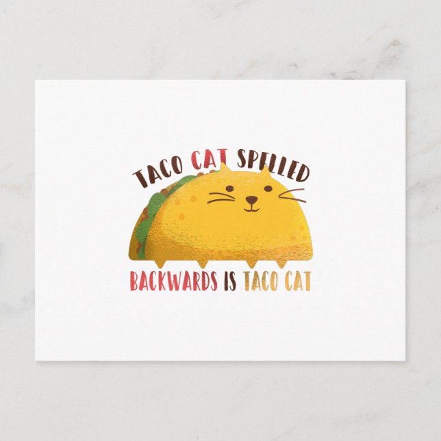Carte Postale Taco Chat Écrit À L'Arrière Est Taco Chat (Devant)