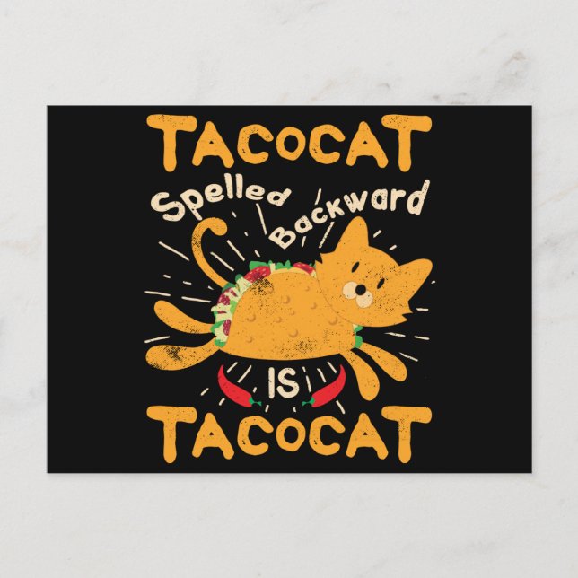 Carte Postale Tacocat Spelled Backwards Cinco de Mayo Cat Taco (Devant)
