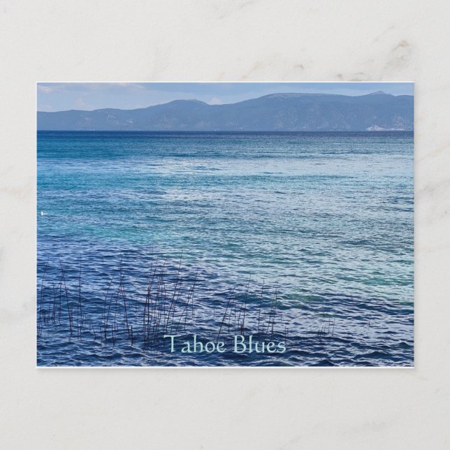 Carte postale Tahoe Blues (Devant)