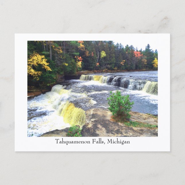 Carte Postale Tahquamenon Falls, Michigan (Devant)