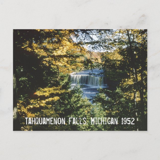 Carte postale Tahquamenon Falls Michigan (Devant)