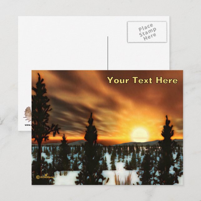 Carte Postale Taiga Sun (Devant / Derrière)