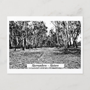 Carte postale, Taille : Carte postale standard,