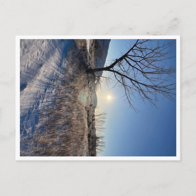 Carte postale, taille : Carte postale standard, pa (Devant)