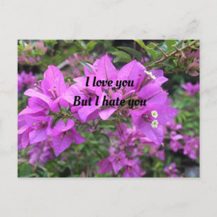 Carte postale, Taille : Carte postale standard, Pa