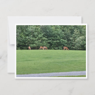 Carte postale, Taille : Carte postale standard, Pa