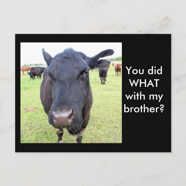 CARTE POSTALE TAILLES DE BOEUF (Devant)