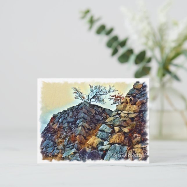 Carte Postale Takeda Castle (Debout devant)