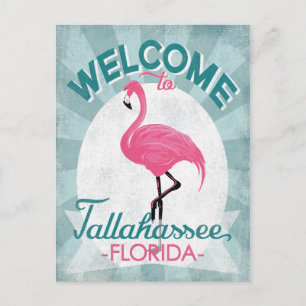 Carte Postale Tallahassee Floride Flamant rose rose Rétro