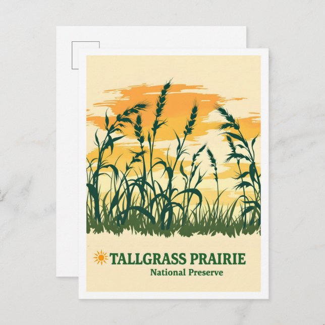 Carte Postale Tallgrass Prairie Réserve nationale Kansas Travel (Devant / Derrière)