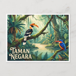 Carte Postale Taman Negara Kuala Tahan Malaisie