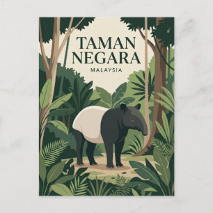 Carte Postale Taman Negara Malaisie