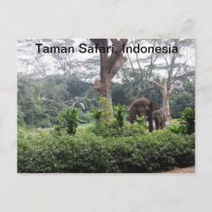 Carte Postale Taman Safari