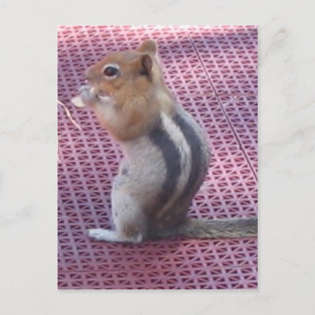 Carte Postale Tamia (Devant)
