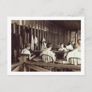 Carte Postale Tampa Cigar Boys, 1909