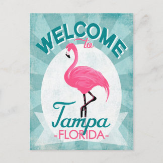 Carte Postale Tampa Florida Flamant rose rose - Voyage Vintage R