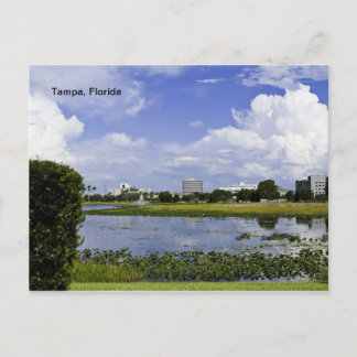 Carte Postale Tampa, Floride
