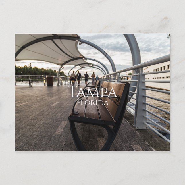 Carte Postale Tampa Floride (Devant)