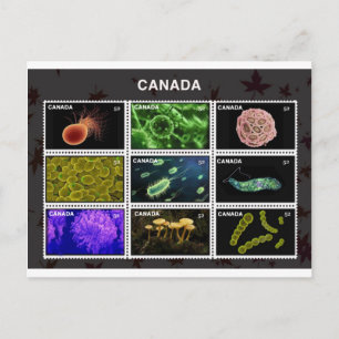 Carte Postale tampons-encreur