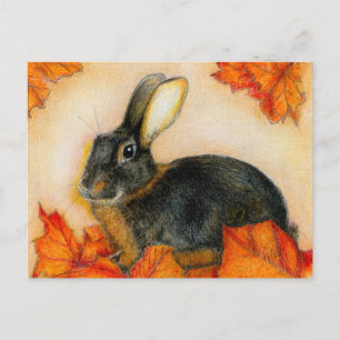 CARTE POSTALE TAN ET NOIR