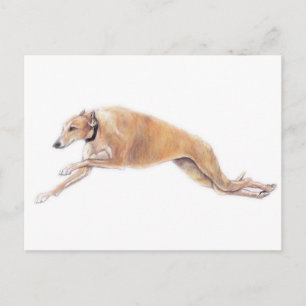 Carte postale Tan Greyhound Running Chig Art