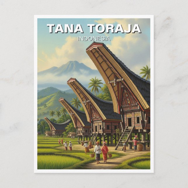 Carte Postale Tana Toraja Indonésie Voyage (Devant)