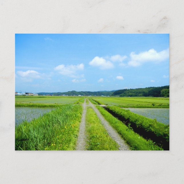 Carte Postale Tanbo Road (Devant)