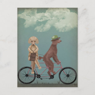 Carte Postale Tandem de caniche
