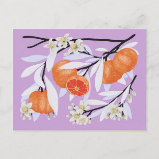 Carte Postale Tangerine Agrumes Branches florissantes Lilac flor
