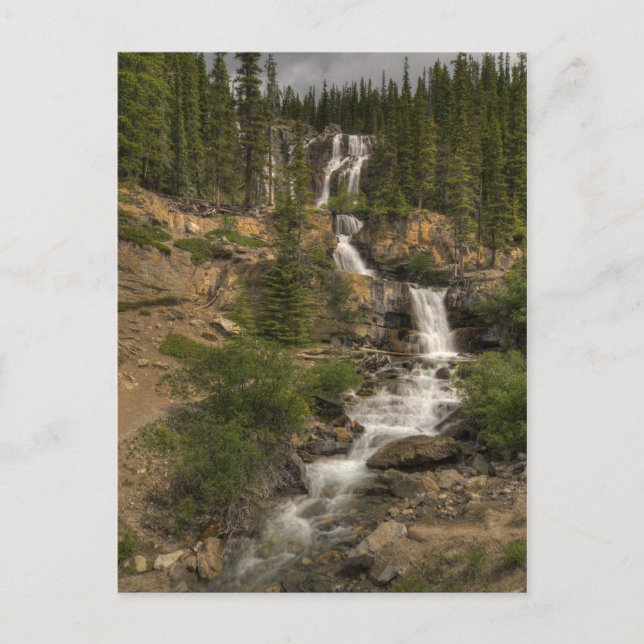 Carte Postale Tangle Falls (Devant)