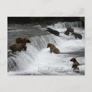 Carte Postale Tant d'ours, Brooks Falls Alaska