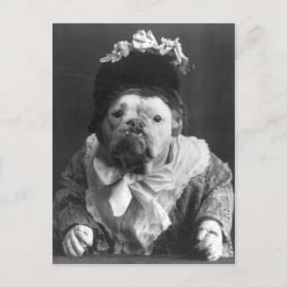 Carte Postale Tante Maude Dog