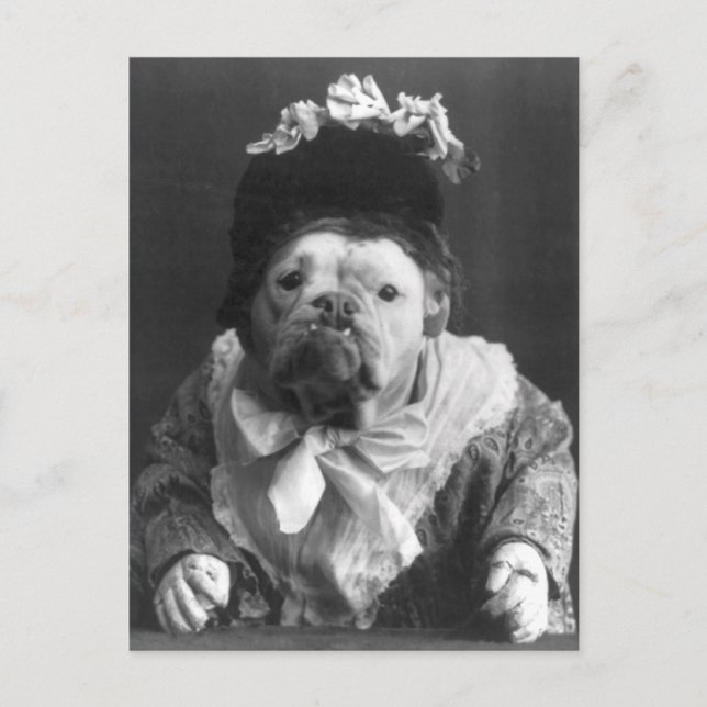 Carte Postale Tante Maude Dog (Devant)