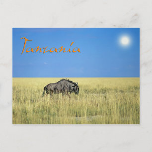 Carte Postale Tanzanie