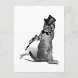 Carte Postale Tap Chat de danse