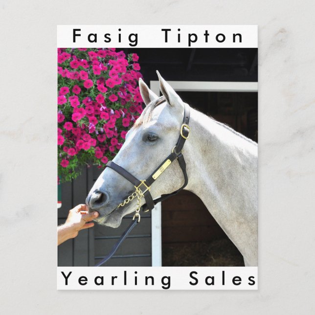 Carte Postale Tapit -Rote Hip no.140 (Devant)