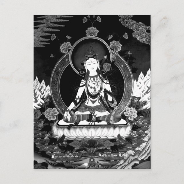 Carte postale Tara blanche b/w (Devant)