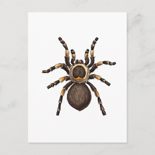 Carte Postale Tarantula (Devant)