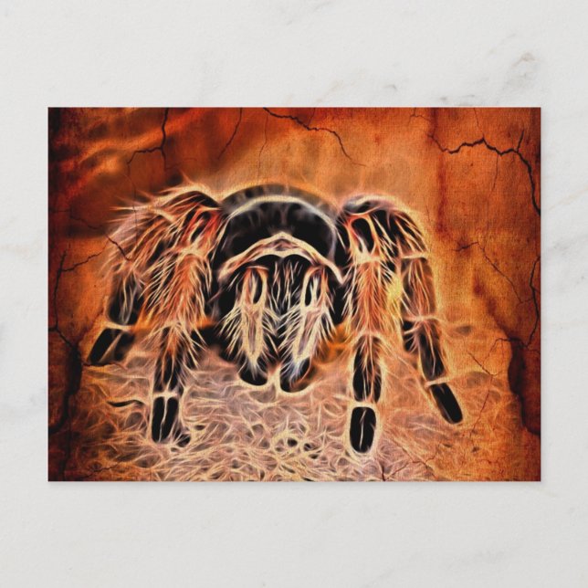 Carte Postale Tarantule araignée effrayante d'Halloween gothique (Devant)