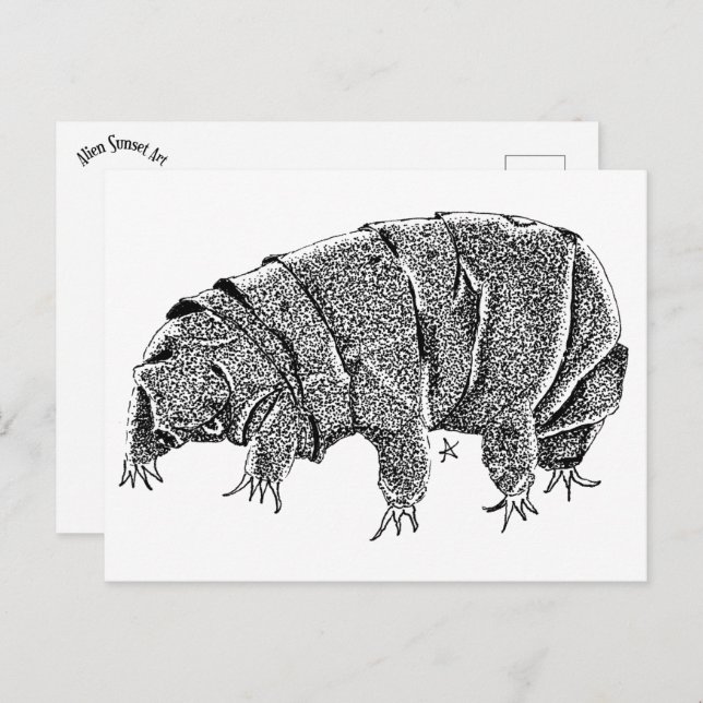 Carte Postale Tardigrade (Devant / Derrière)