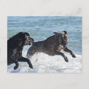 Carte Postale tarifs espagne