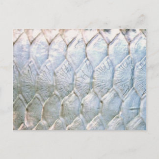 Carte Postale Tarpon par PatternWear©