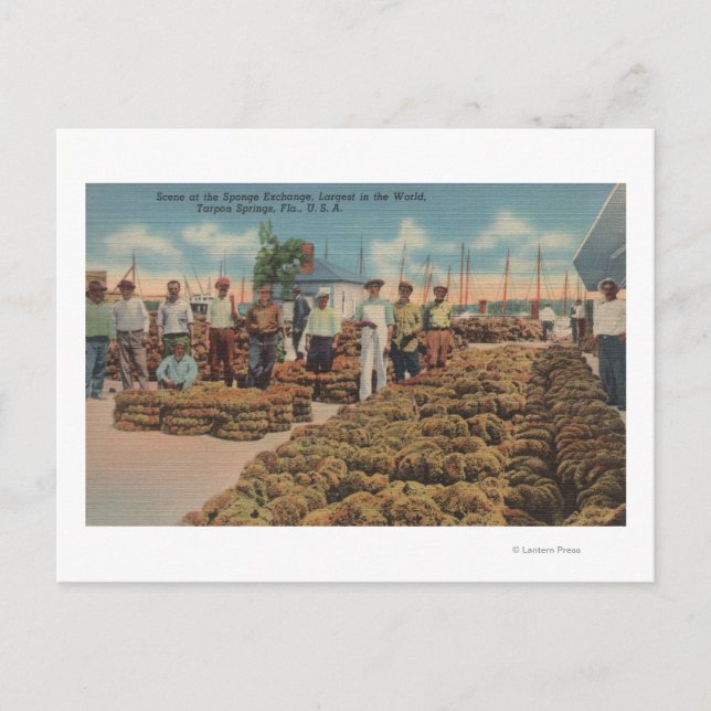 Carte Postale Tarpon Springs, FL - Scène de l'échange d'éponges (Devant)