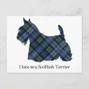 Carte Postale Tartan Black Watch Terrier Écossais