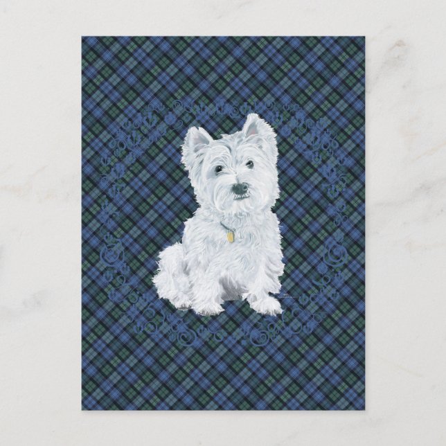 Carte Postale Tartan Black Watch Westie (Devant)