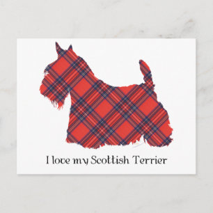 Carte Postale Tartan Stewart du Terrier Écossais
