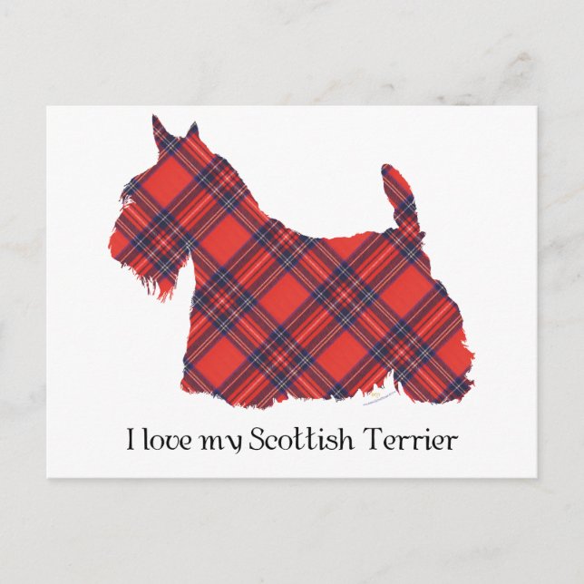 Carte Postale Tartan Stewart du Terrier Écossais (Devant)