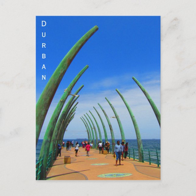 Carte Postale tarte à baleines à durban (Devant)