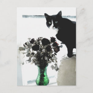 Carte Postale Tasha le chat Tuxedo