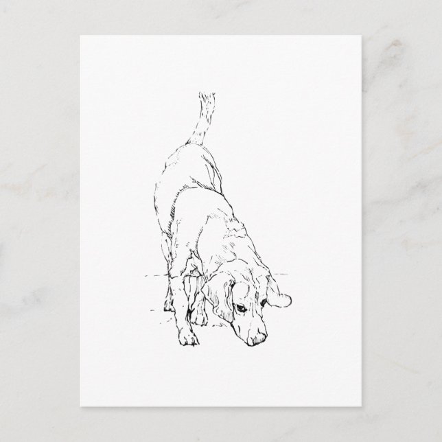 Carte Postale Tasse Beagle – Chien à l'encre dessinée à la main  (Devant)
